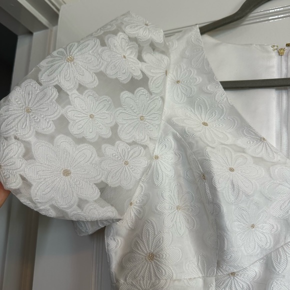 Lilly Pulitzer Citra Organza Dress - Picture 5 of 12